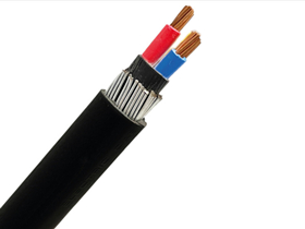 Sierra 6mm 2 core Armored Cable