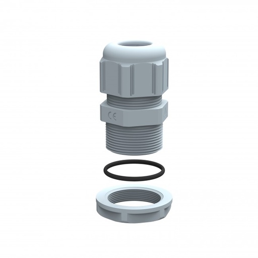 PG-7 Gland